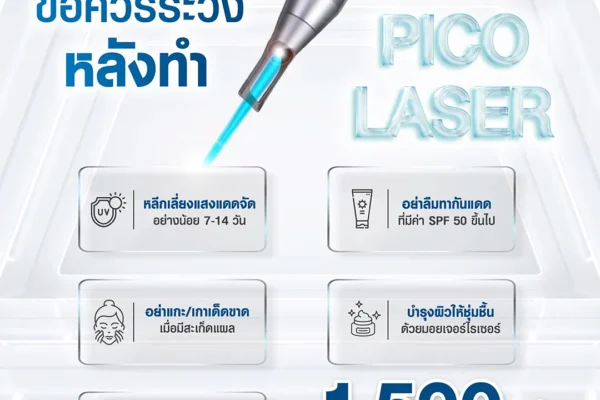 13 08 67ข้อควรระวังpico