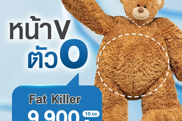 22 08 67 v shape fat killer